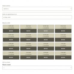 Webba Booking WordPress Appointment Reservation plugin 5